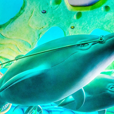 海の中にいるような気分を味わえる
