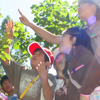 森のふしぎみっけ