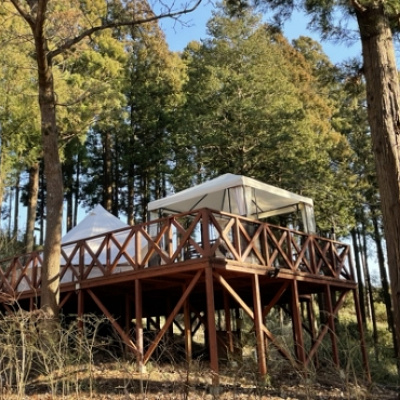 フォレストテラス