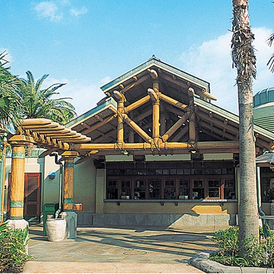 フォッシル・フュエルズ