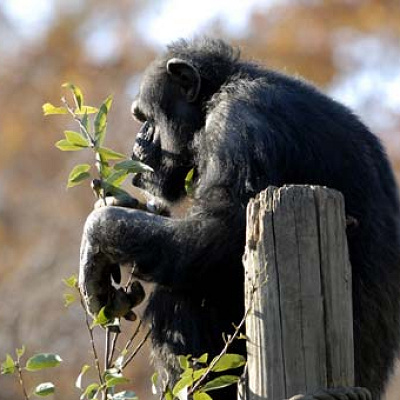 入園無料！お得な「無料公開日」