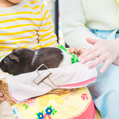 ふれあい広場