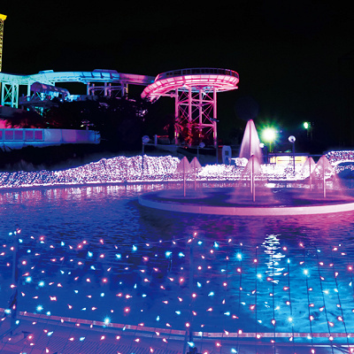 日常を離れ、幻想的な光に包まれたひとときを…