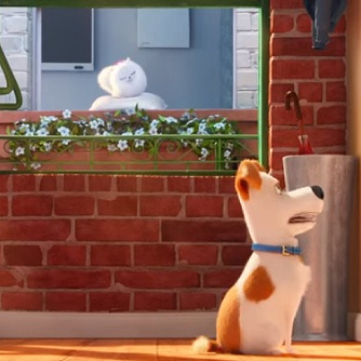 マックスを見つめるギジェット／映画『ペット』