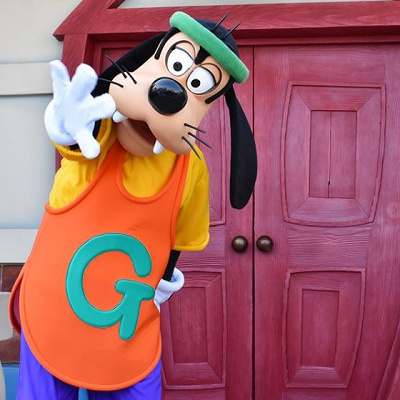 グーフィーのプロフィール