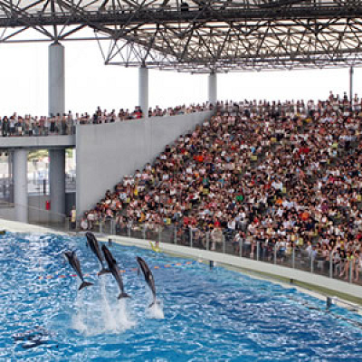 八景島シーパラダイスのステージ「アクアスタジアム」