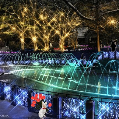 はなぶんサンクスイルミ（イメージ）