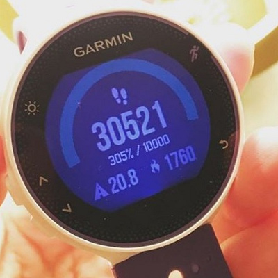 ディズニーランドで楽しくダイエット！