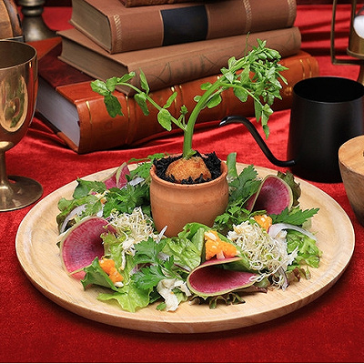 薬草学サラダ