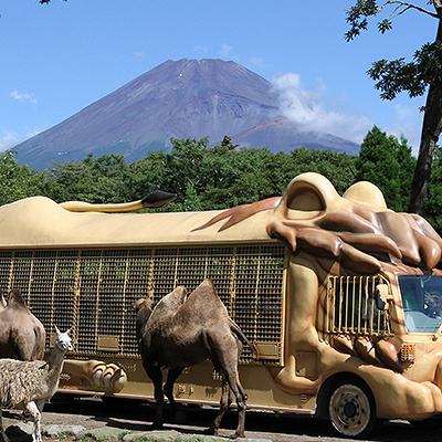 天気が良ければ、それが一番ですが……