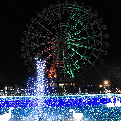 東武動物公園のイルミネーション