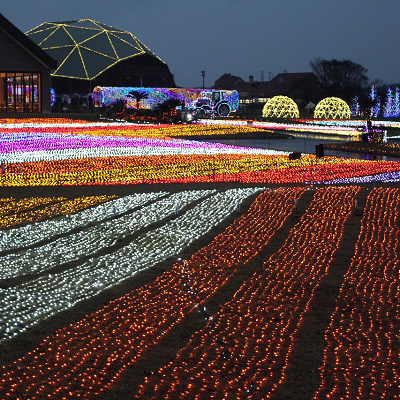 マザー牧場のイルミネーション