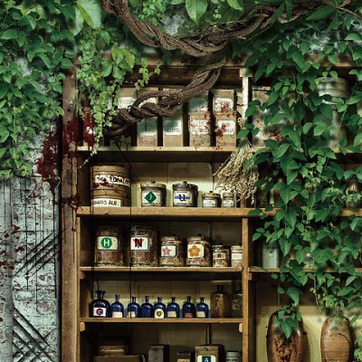 不気味な植物に浸食された客室のイメージ（公式サイト）