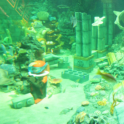 「サブマリン・アドベンチャー」コース内