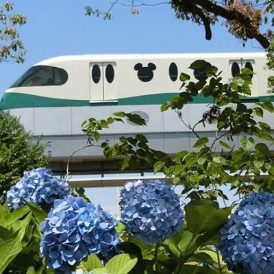 喫煙所が撤退？