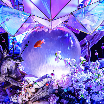 JAPANESE AQUARIUM DISCO（ジャパニーズアクアリウムディスコ）