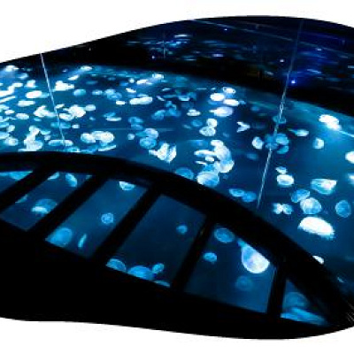 すみだ水族館のクラゲ