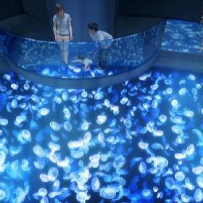 すみだ水族館のクラゲ