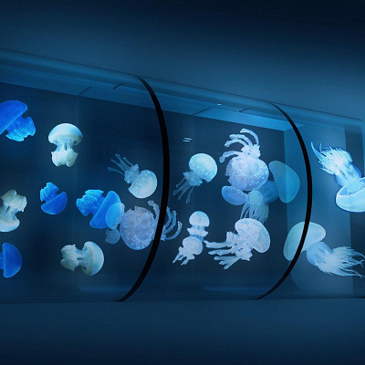 すみだ水族館のクラゲ