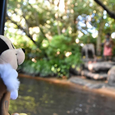 ジャングルクルーズにも隠れミッキーがいる