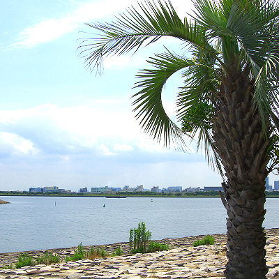 葛西臨海公園