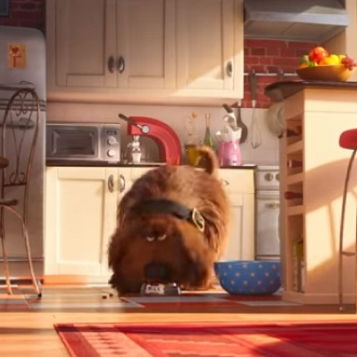 ケイティのキッチン／映画『ペット』