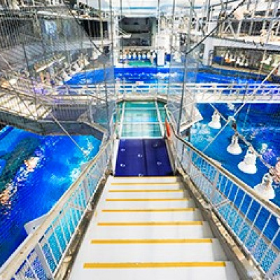 黒潮探検(水上観覧コース)