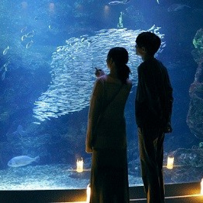 京都水族館「夜のすいぞくかん」