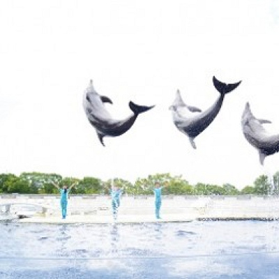 京都水族館の駐車場情報