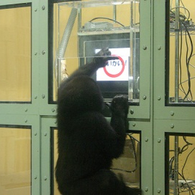 タッチパネルで学習する様子