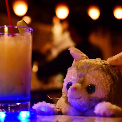 高級レストランで大人ディズニーを楽しもう