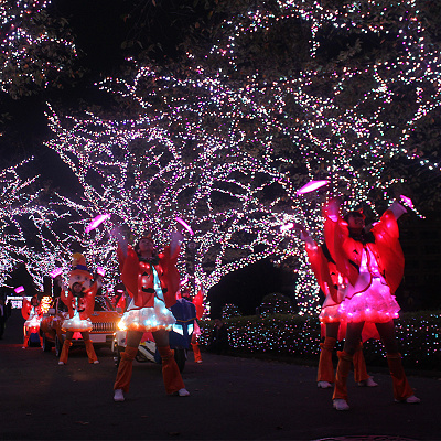 2017-2018年のライトオンダンス