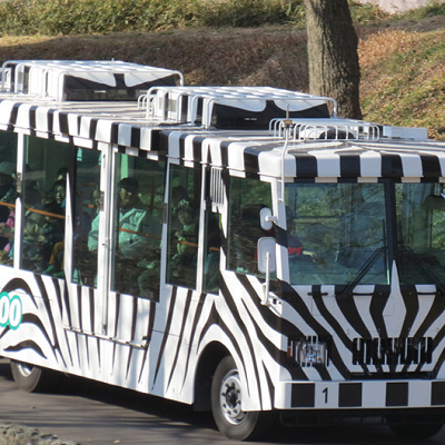 多摩動物公園のライオンバス