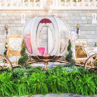 マジックキングダム