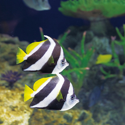 マリンワールドの割引