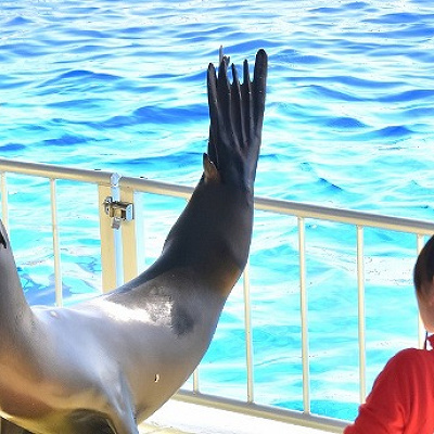 マリンワールドの割引