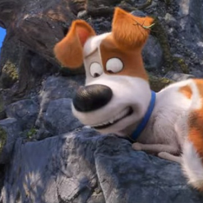 マックス／映画『ペット2』