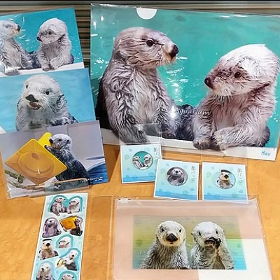 メイとキラの実写グッズセット