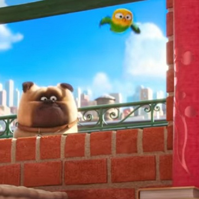 メル／映画『ペット』