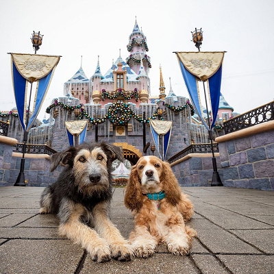 トランプ役のモンテとレディ役のローズ