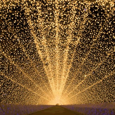 なばなの里　光のトンネル　「華回廊」