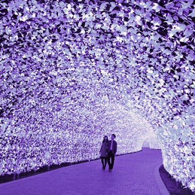 なばなの里　光のトンネル　「ラベンダー」