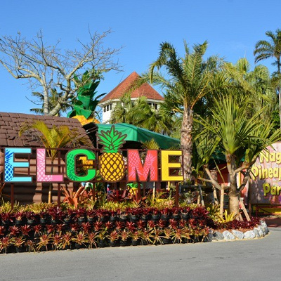 ナゴパイナップルパーク