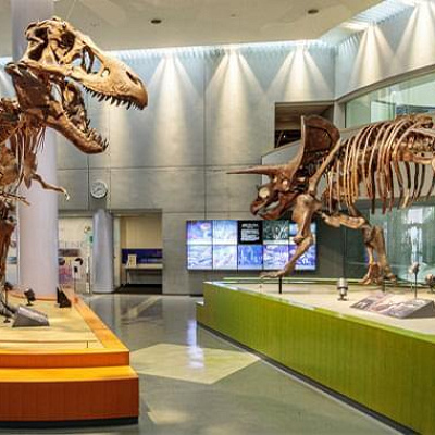 自然史スクエア