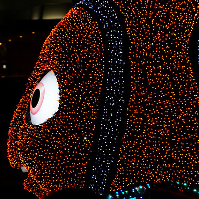 夜のディズニーランドに現れた光のニモ