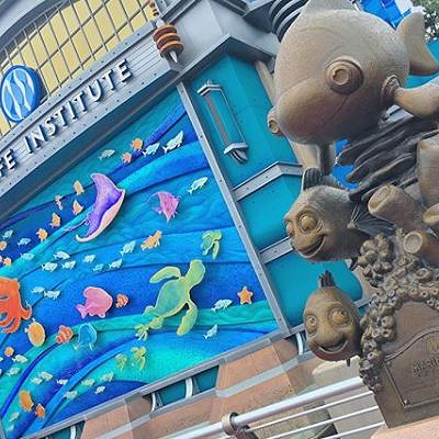 新アトラクションは「いいね」がつきやすい！