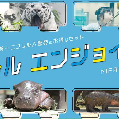 ニフレルエンジョイパス