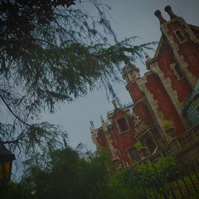 右のサンルームにご注目