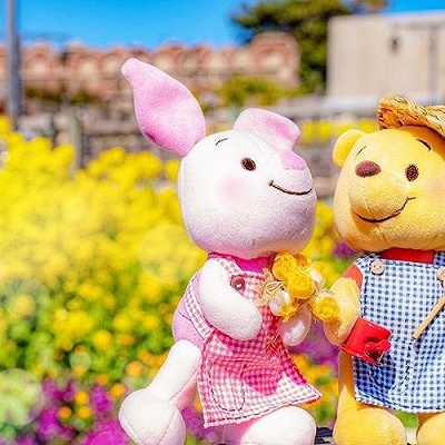 エプロン姿のぬいもーず