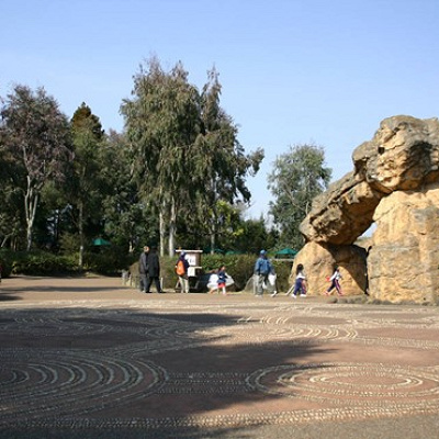 オセアニアの草原エリア